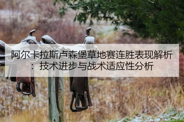 阿尔卡拉斯卢森堡草地赛连胜表现解析：技术进步与战术适应性分析