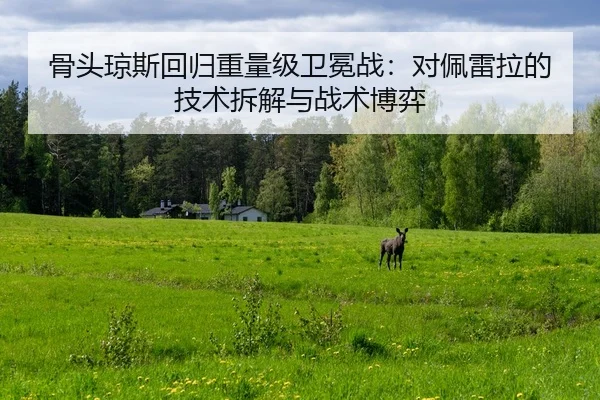 gu-tou-qiong-si-hui-gui-zhong-liang-ji-wei-mian-zhan-dui-pei-lei-la-de-ji-shu-chai-jie-yu-zhan-shu-bo-yi-2-920.jpg